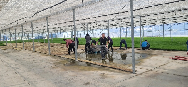 2022년도 육묘작황 대표 이미지